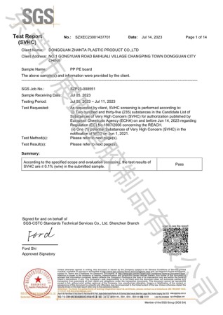 REACH SGS檢測(cè)報(bào)告（英文）